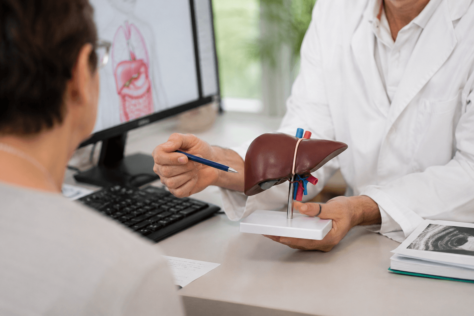 Lebertransplantation - Wann sie notwendig wird und wie der Ablauf aussieht